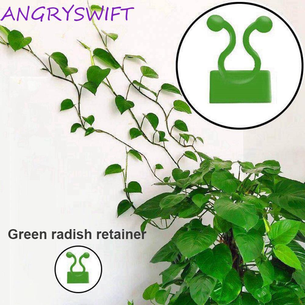 ANGRYSWIFT Plant Climbing Wall Clip Sticky Invisible Hook Bracket Holder Plant Stent Support