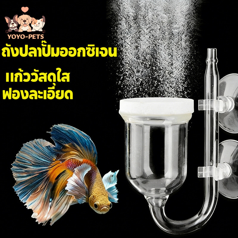ถังปลาปั๊มออกซิเจน เงียบเป็นพิเศษ ถังแก๊สสำหรับปั๊มออกซิเจน แก้ววัสดุใส ฟองละเอียด ทำความสะอาดง่าย