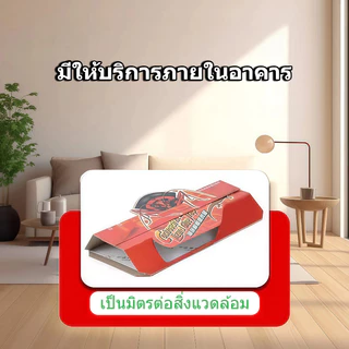 [30 แผ่น] บ้านจิ้งจก กาวดักจิ้งจก & ตุ๊กแก เหนียวพิเศษ หนีไม่ได้! ไร้สารพิษ ปลอดภัย ไร้กลิ่น ใช้งานง่าย ประสิทธิภาพสูง