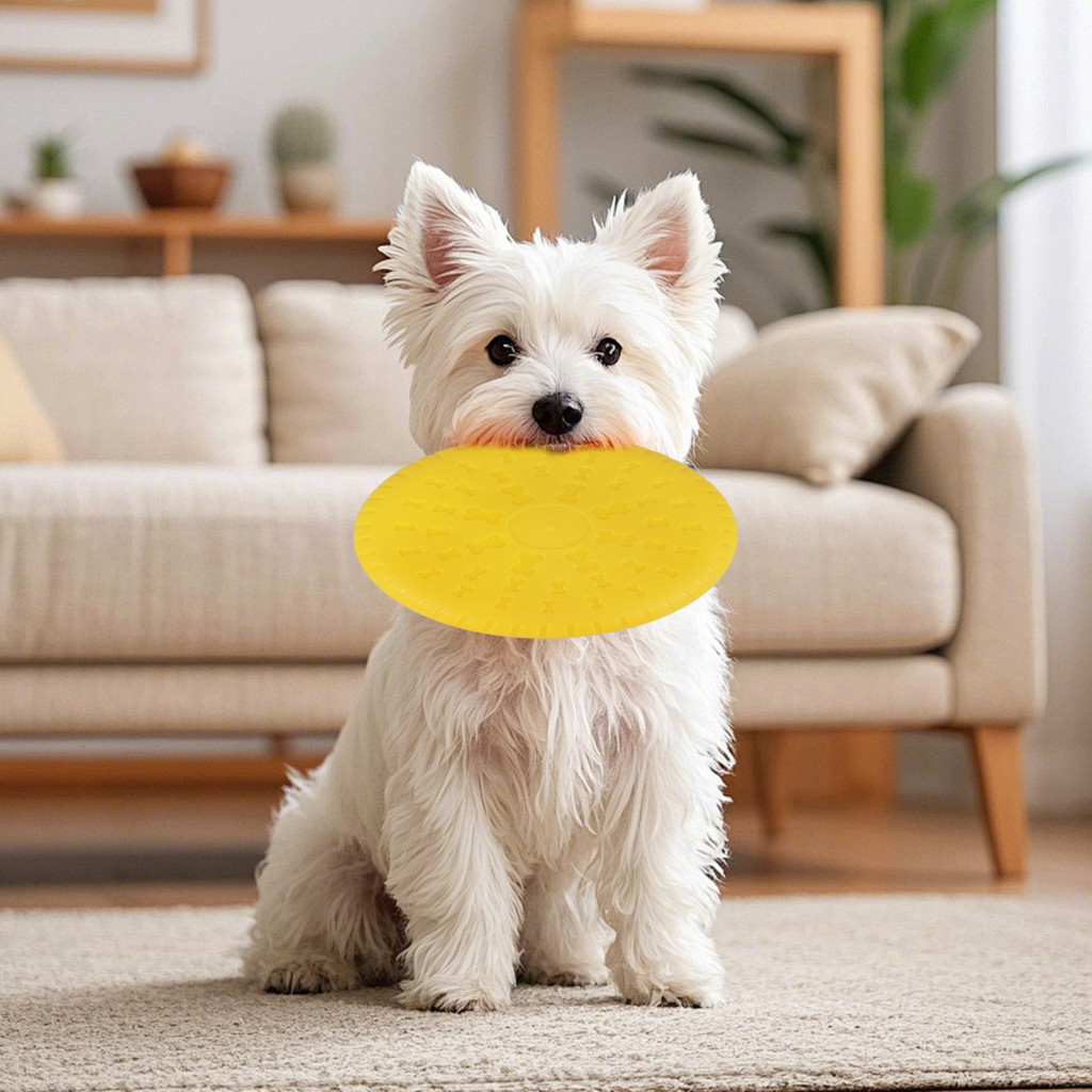 [คลังสินค้าพร้อม] Tpr Dog Flying Disc Toy Dog Flying Disc ทนทาน Soft Tpr Flying Disc สําหรับสุนัข – 