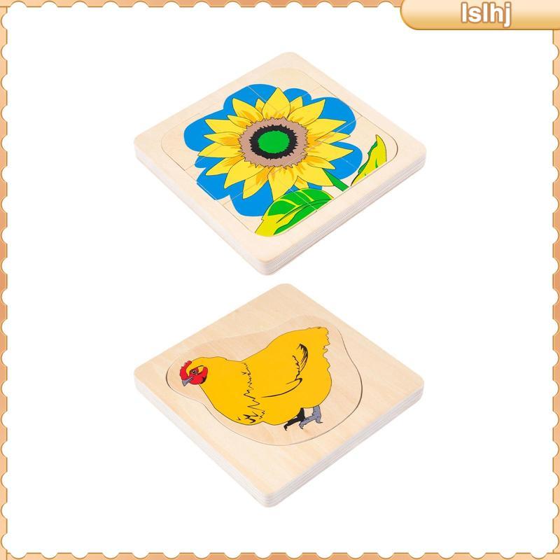 [Lslhj] in The Life Cycle สําหรับเด็ก การศึกษาหลายชั้น ตั้งแต่อายุ 4 ถึง 8 ปี