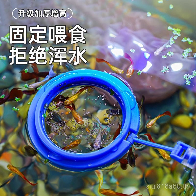 Fish Tank Feeder Fish Feeder Guppy Floating Feeding Ring Brine กุ้ง Feeder Fish Feeder Feeder ED7B