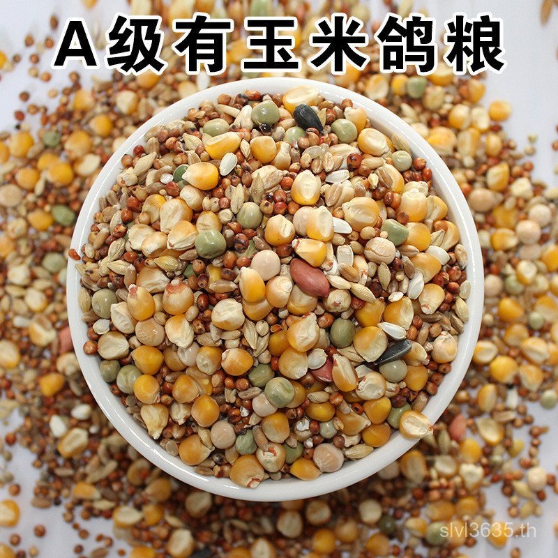 Pigeon Believe Pigeon Pigeon Pigeon อาหารประดับ Pigeon Competition Have Heng Feed Shen Youth Post Co