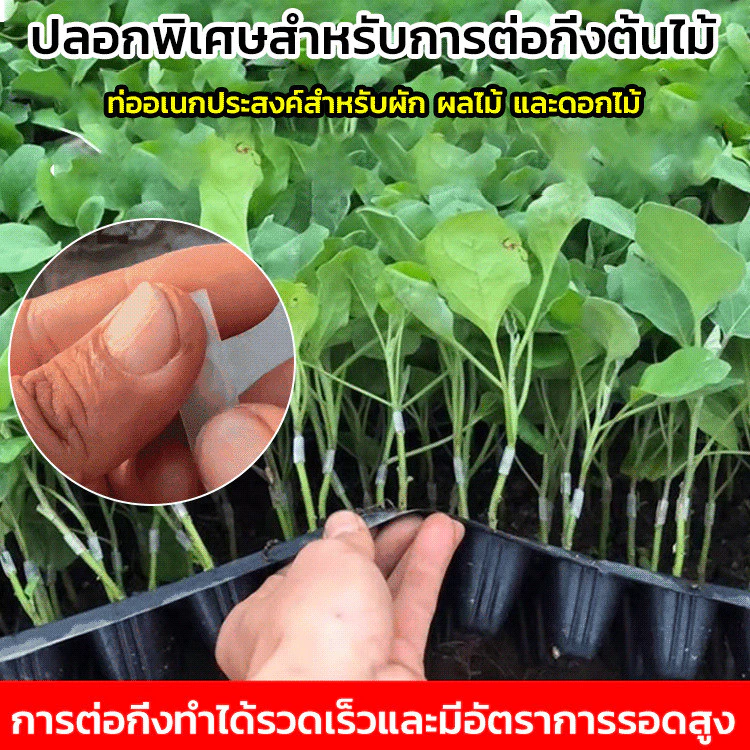 ท่อต่อกิ่งพลาสติก อุปกรณ์เกษตรสำหรับขยายพันธุ์พืช thumbnail 3