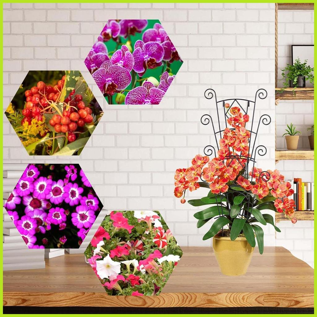 Trellis สําหรับพืชปีนเขาสวนกลางแจ้งสนับสนุน Stakes สําหรับพืชปีนเขา Pothos Stakes สําหรับในร่มกลางแจ