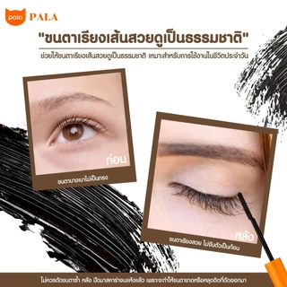 ตะกร้าบริษัท PALA มาสคาร่า MASCARA THICK CURLY WATERPROOF ปัดขนตางอน สีดำ กันน้ำ ทนนาน 14ชม. 5g