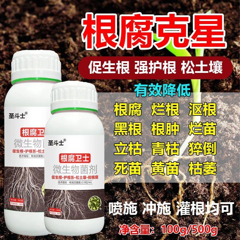 Root Guard Root Root Root Root Root Root Root Root Root Root Root บาซิลลัส บาซิลลัส บาซิลลัส บาซิลลั