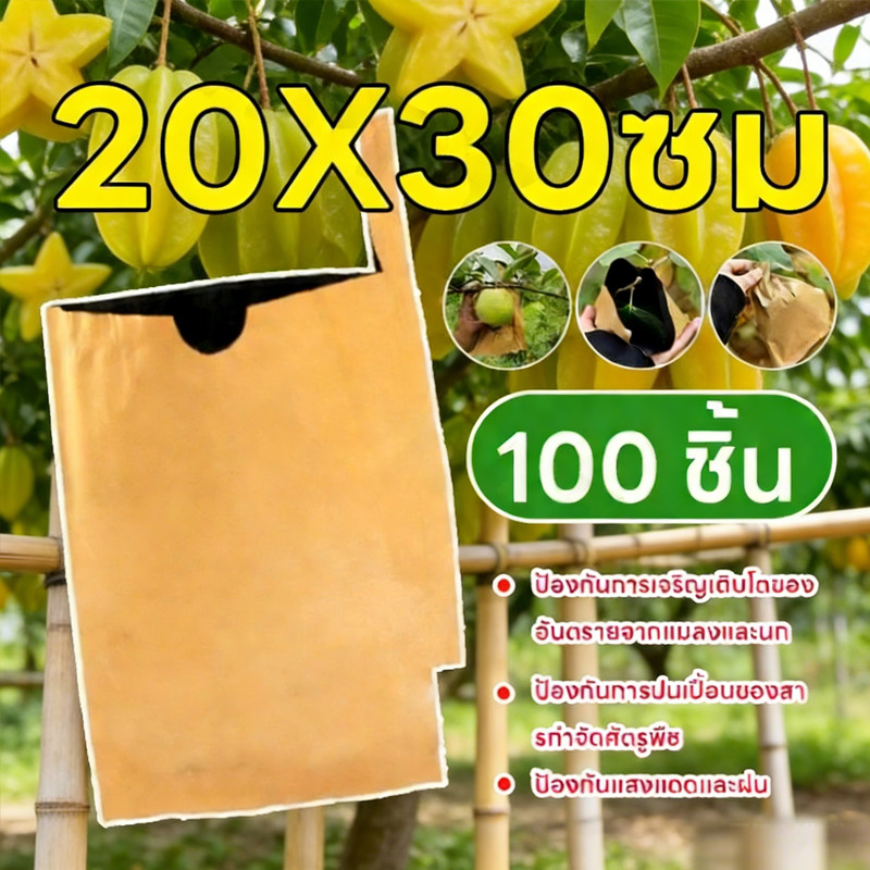 ถุงห่อฝรั่ง/มะม่วงคาร์บอน 20*30 ซม. 100 ใบ - แพ็ค 2 ชั้น กันแมลงวันทอง ปกป้องผลไม้จากศัตรูพืช