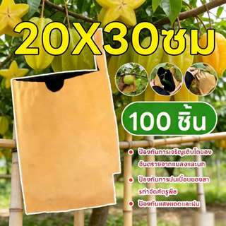 ถุงห่อฝรั่ง/มะม่วงคาร์บอน 20*30 ซม. 100 ใบ - แพ็ค 2 ชั้น กันแมลงวันทอง ปกป้องผลไม้จากศัตรูพืช