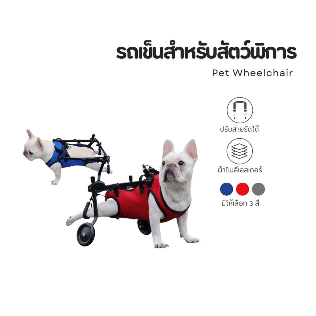[Bratvee] Dog Wheelchair รถเข็นสุนัข สำหรับสัตว์พิการ ตัวล็อคแน่น เหมาะกับสุนัขขนาดเล็ก-กลาง
