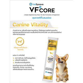 VFcore แมวเลีย วิตามินแมว อาหารเสริม ไลซีน วิตามินรวม แบ่งขายแบบซอง 12g