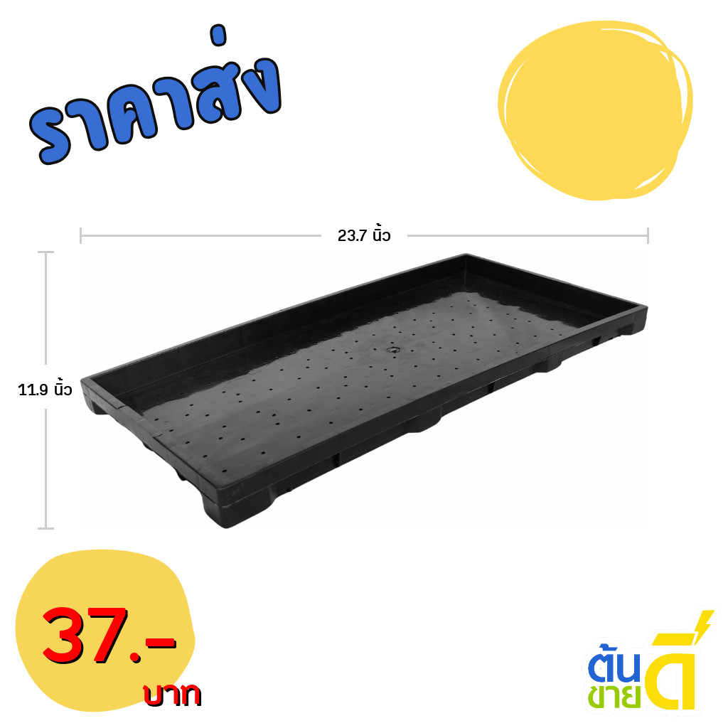 กระถาง ถาดเพาะไดโซะ ใส่กระถางต้นไม้ XL ( รู ) สีดำ ขั้นต่ำ 5 ใบ ชิ้น อัน - รูปที่ 3