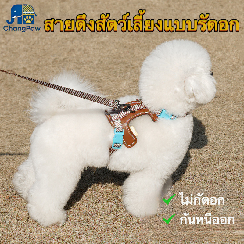 zeze แบบสายรัดอก กันหลุด ปลอดภัย สำหรับน้องหมาพันธุ์เล็ก ใช้งานกลางแจง ทนทาน ใส่สบาย