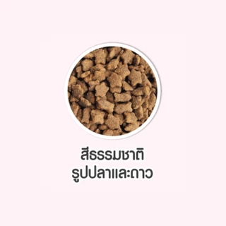 ชุด 25 ถุง อาหารแมว ดีนี่แคท Deenee Cat ราคาสบายกระเป๋า ขนาด 400 กรัม