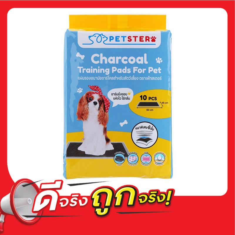 เพ็ทสเตอร์แผ่นรองอนามัยชาร์โคลสำหรับสัตว์เลี้ยง 10แผ่น Petster Charcoal Training Pad for Pet 10Sheet
