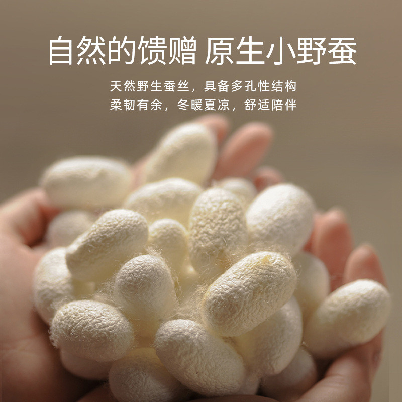 Love Pure Silk Quilt Winter Quilt Spring Autumn Quilt Winter Thicken Double Warm Quilt Quilt Gift Re