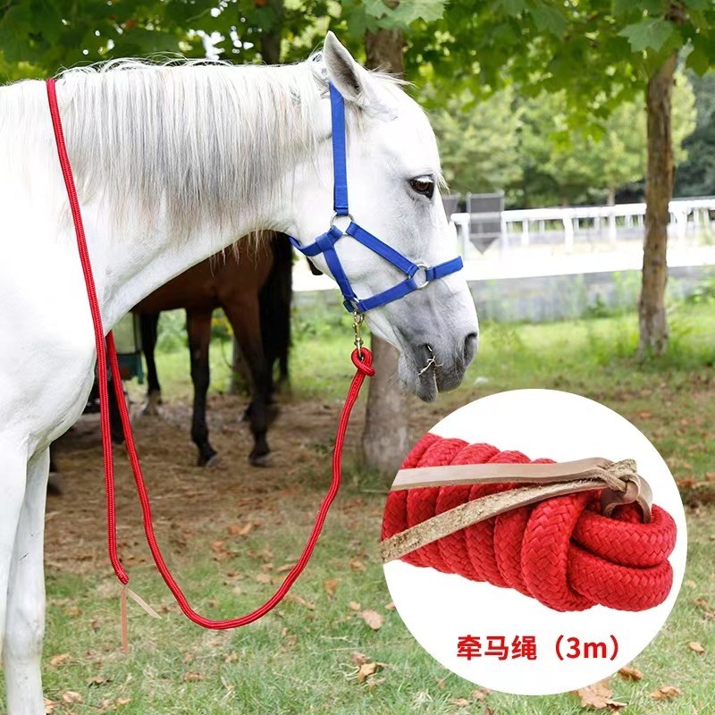 Horse sports Horse leash Reins 3M Horse Tackles