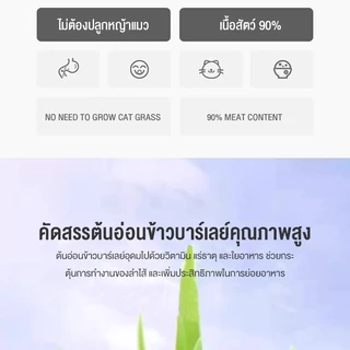 😺หญ้าแมวฟรีซดราย 100g ช่วยขับก้อนขน บำรุงระบบย่อย อาหารเสริมแมวธรรมชาติ