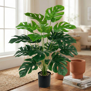ต้นมอนสเตอร่าปลอม 75cm 18 ใบ ของขวัญวันวาเลนไทน์ ตกแต่งบ้าน มินิมอล สวยเหมือนจริง พร้อมส่ง