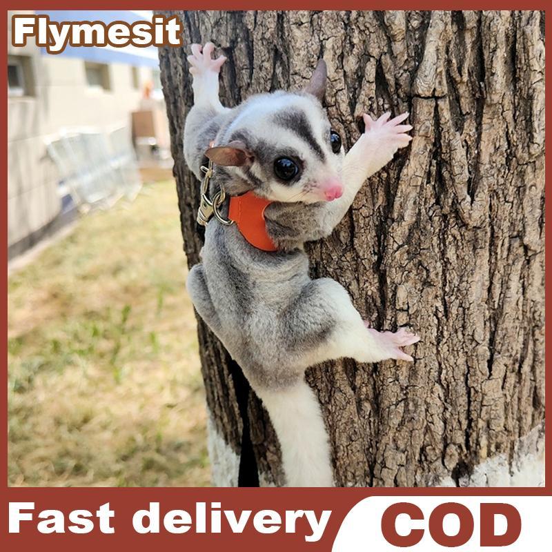 Flymesit 4 ชิ้นสัตว์เลี้ยงขนาดเล็กสายรัดหน้าอกหนูแฮมสเตอร์กระรอก Leash Anti Bite Traction เชือก Sugar Glider Windproof พิเศษ Anti Lost เชือก EN - รูปที่ 4