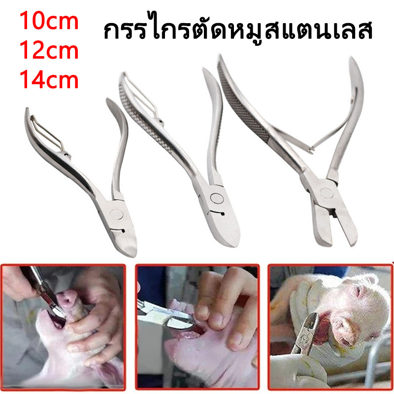 กรรไกรตัดฟันหมู กรรไกรตัดฟัน สแตนเลส ที่จับกันลื่น ความยาว 10/12/14 ซม คม ตัดฟันง่าย อายุการใช้งานยาวนาน