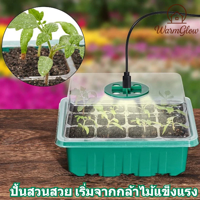 ชุดถาดเพาะกล้า กล่องเพาะกล้า ถาดปักชำกิ่ง ทรงสูง พร้อมฝาบ่มเปิด-ปิดระบายอากาศ ควบแน่นต้นไม้ กระตุ้นงอกเร็ว ออกรากไว ป้องกันแมลง ทนทานใช้ซ้ำได้ สำหรับพืชสวนทุกชนิด ปักชำกิ่ง การเกษตรและปลูกต้นไม้ที่บ้าน