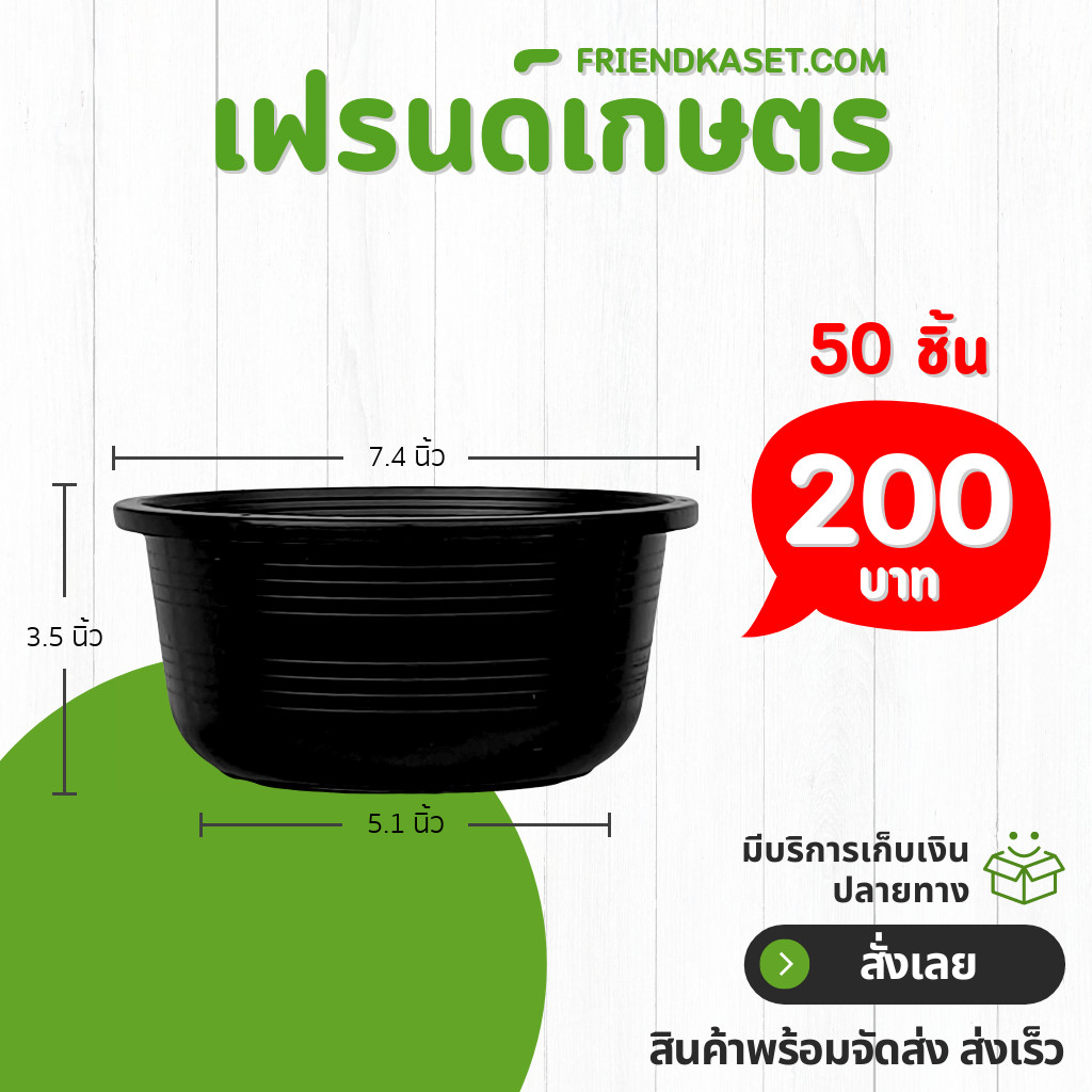 กระถาง กระถางแคคตัส ถ้วยจีน 5 นิ้ว สีดำ - รูปที่ 3