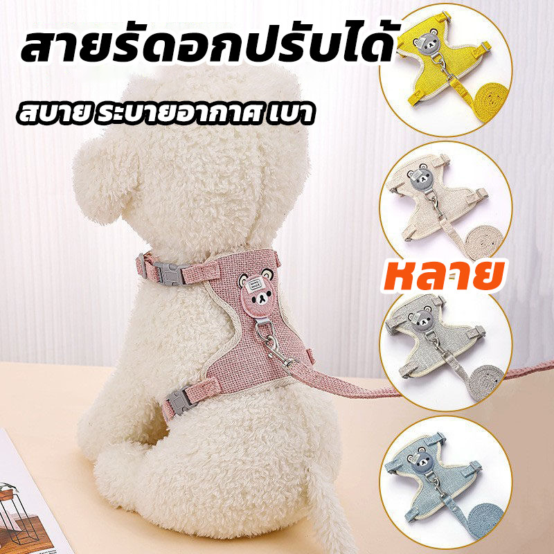 สายจูงสัตว์เลี้ยง สายจูง สายจูงแมว สายจูงกระต่าย สายจูงสุนัขสำหรับสัตว์เลี้ยงตัวเล็ก