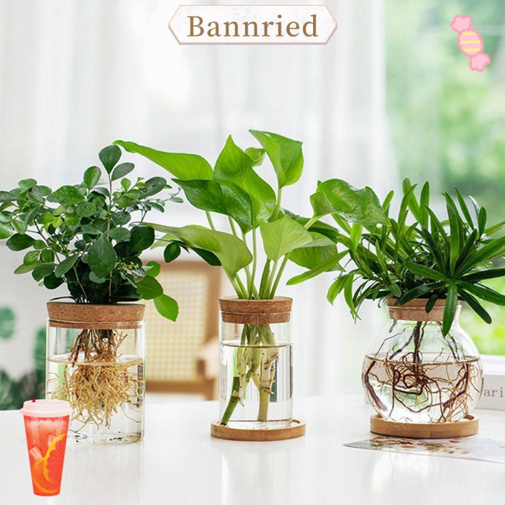 BANNRIEDSG กระถางดอกไม้ Hydroponic, แจกันแก้วบ้านขนาดเล็กไร้ดิน, พืชสีเขียวกระถาง Creative Transparent Terrarium