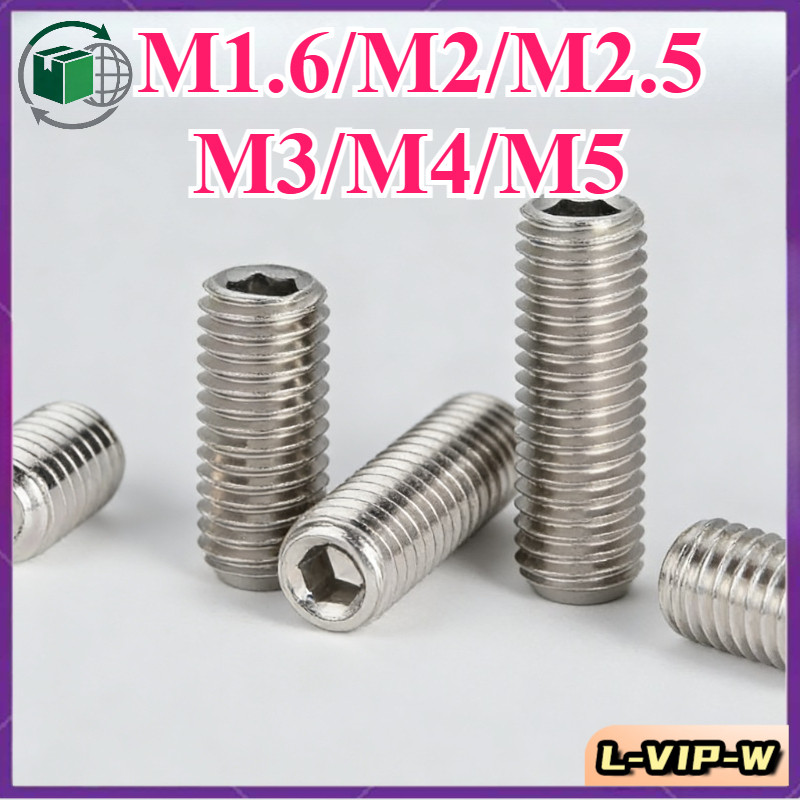 304 หกเหลี่ยม สกรู ตัวหนอน ปลายตัด/M1.6/M2/M2.5/M3/M4/M5 （L-VIP-W-6）