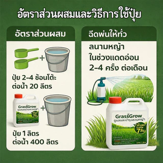 ปุ๋ยน้ำบำรุงหญ้า ให้เขียวสด แก้หญ้าเหลือง ใช้ได้กับหญ้าทุกสายพันธ์ ปลอดภัย บำรุงหญ้าไทเป ปุ๋ยบำรุงหญ้าสนาม