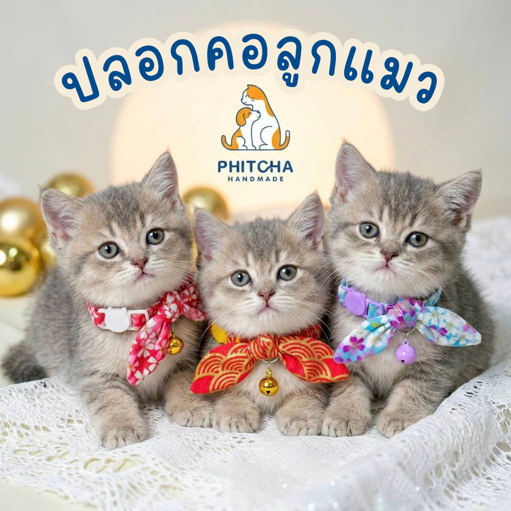(ลูกแมว) เทศกาล • (ล็อคนิรภัย) • ปลอกคอลูกแมว •ปลอกคอสัตว์เลี้ยง