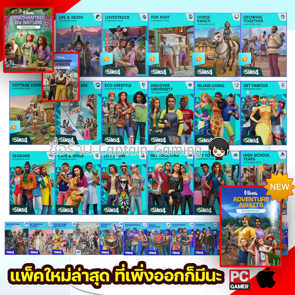 รูปภาพ 2
