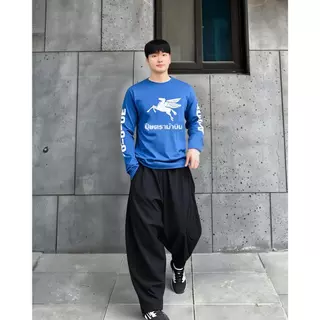 TMS เสื้อผ้ายืด คอกลม แขนยาว พิมพ์ลาย ผ้ากีฬา ใส่ได้ทั้งผู้ชาย ผู้หญิง ปุ๋ยไทบ้าน ไซส์ใหญ่ S-5XL ไม่ร้อน กระต่าย ม้าบิน