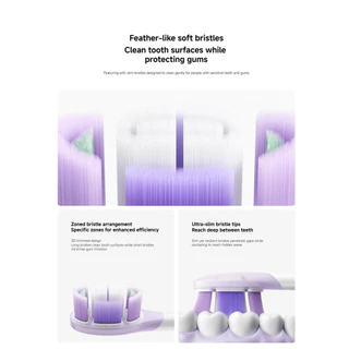 Xiaomi Oscillation Electric Toothbrush Replacement Heads (Clean) / (Soft) | แพ็ก 3 ชิ้น