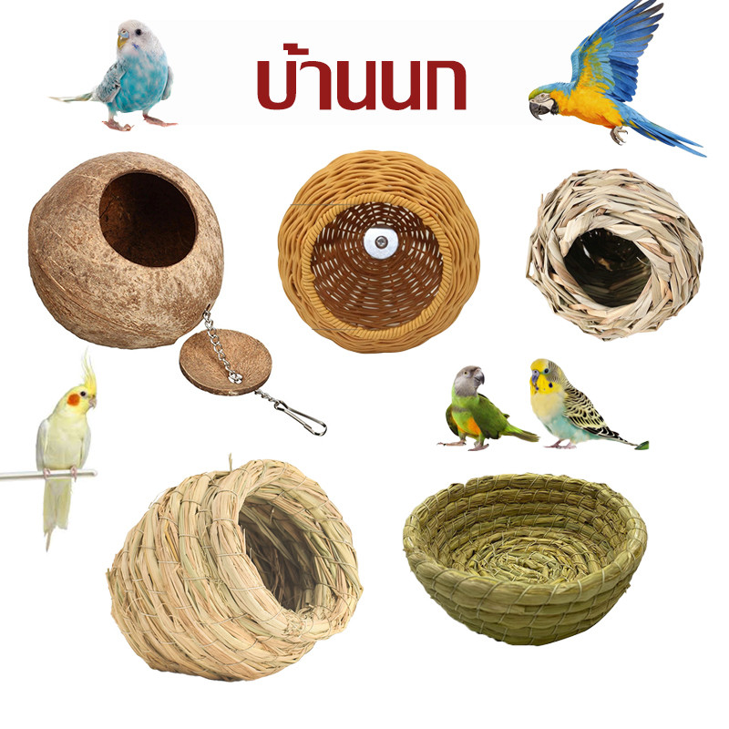 บ้านนก รังนกทำจากหญ้า บ้านหญ้านก บ้านกะลา บ้านนกแก้ว บ้านกระรอก กะลาธรรมชาติ รังนอน ทำจากหญ้าธรรมชาติ