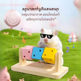 ของเล่นหนูแฮมสเตอร์ ลูกบาศก์รูบิกแสนสนุก ของเล่นดีเจเพื่อการผ่อนคลายและความบันเทิง ของเล่นเสริมการเรียนรู้ที่หลากหลายและสามารถเคี้ยวได้สำหรับหนูแฮมสเตอร์สีทองและหนูแฟนซี