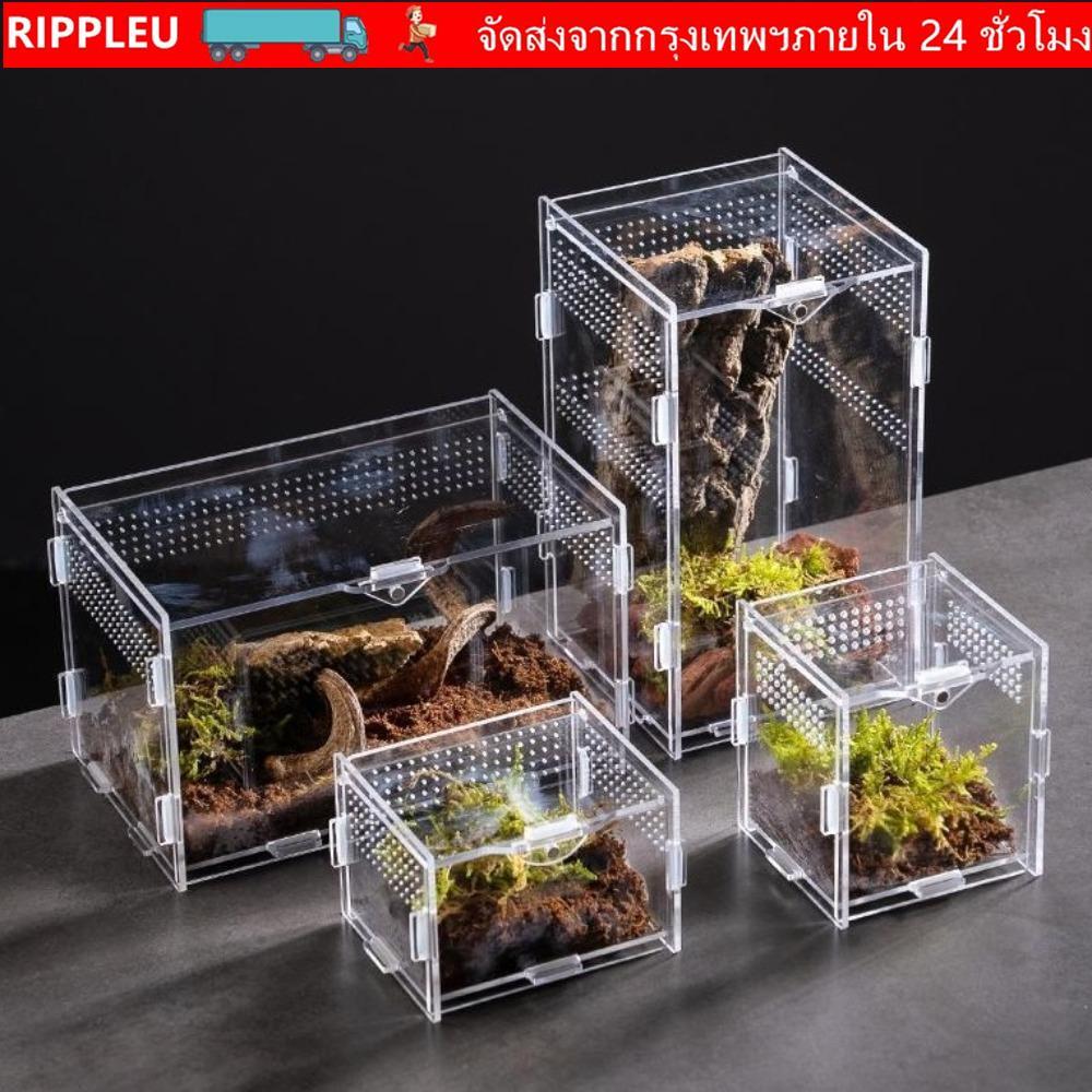 RIPPL สัตว์เลื้อยคลาน Habitat, กล่องเพาะพันธุ์จิ้งจกอะคริลิคป้องกันการหลบหนี, ทนทานหลายขนาด Arboreal กรงสัตว์เลี้ยงขนาดเล็กสําหรับแมงป่อง