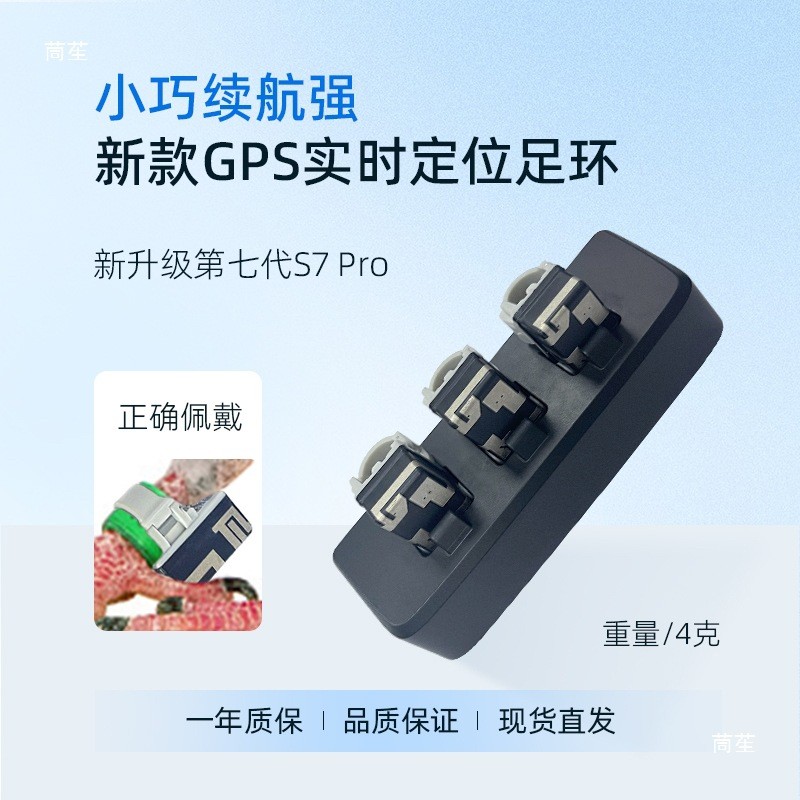 การฝึกบินแบบเรียลไทม์สำหรับนกพิราบ pro การจัดตำแหน่งแหวน s7แหวนดิจิทัลติดตามรอยเท้าของนกพิราบรุ่นใหม