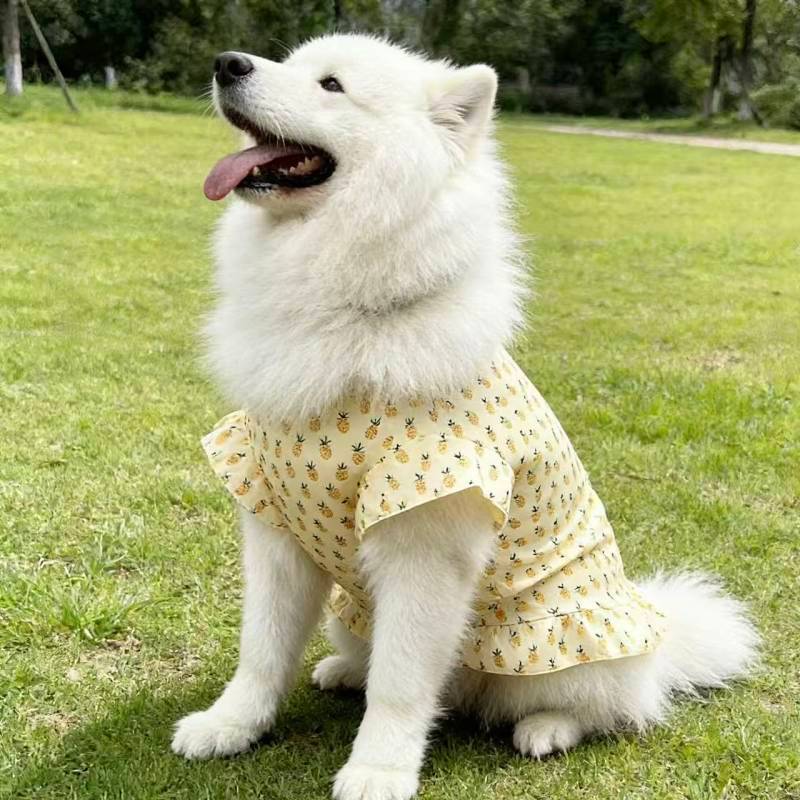 【Ready Stock】 Spring and Summer Dog Dress Breathable Thin Large Dog Clothes Dog Vest Golden Retrieve