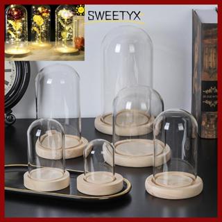 จัดส่งจากประเทศไทยSWEETYX แก้ว Clocie Fairy Lights Terrarium…