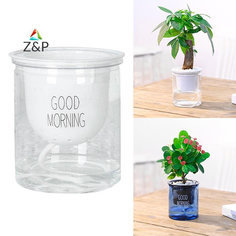 Z&P กระถางดอกไม้โปร่งใสรดน้ําต้นไม้ด้วยตนเองกระถางดอกไม้ตกแต่งสวนบ้าน COD ราคา ถูกที่สุด ดีลบีเคเค แกลเลอรีภาพที่ 2