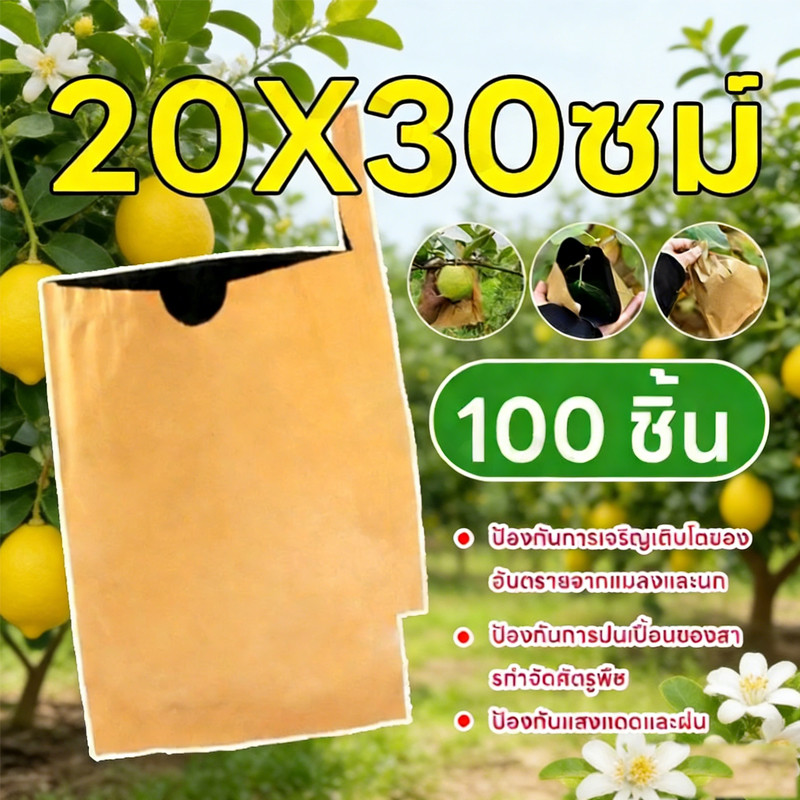 ถุงห่อมะม่วงชุนหวงกันแมลง 20×30 ซม. 100 ใบ – กระดาษคาร์บอน 2 ชั้น กันน้ำ กันนก ผิวผลไม้ปลอดภัย ราคา ถูกที่สุด ดีลบีเคเค รูปภาพหลัก
