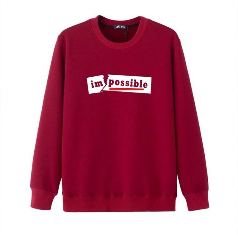 DNS/IMPOSIBLE SWETER (ML)