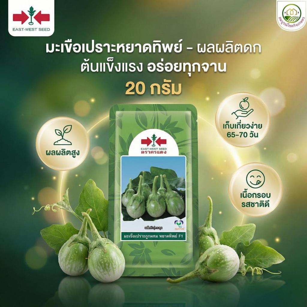 มะเขือเปราะ หยาดทิพย์ ทรงกลม ติดดก ทนโรค เมล็ดพันธุ์ มะเขือ มะเขือลูกผสม ตราศรแดง บรรจุ 20 กรัม