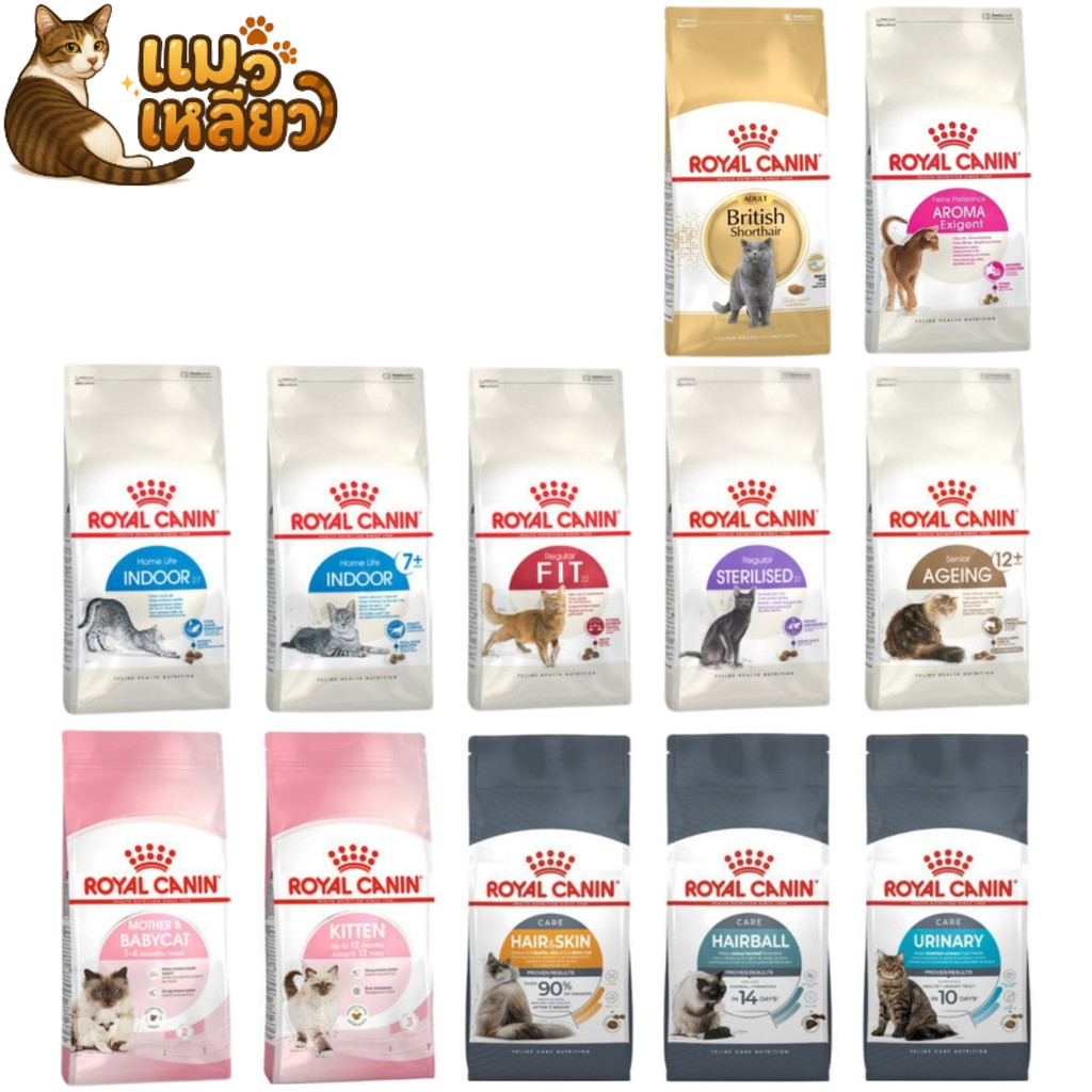 Royal Canin อาหารเม็ดแมว: เลือกสูตรที่ใช่เพื่อสุขภาพที่ดีในทุกช่วงวัย
