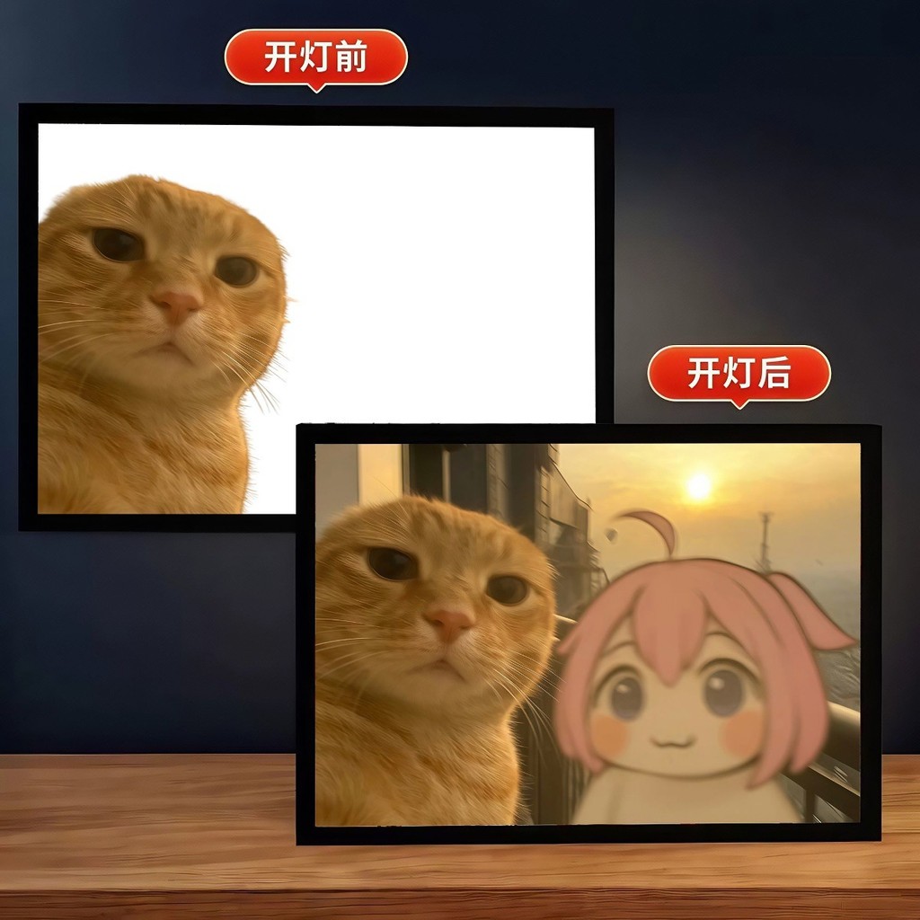 ชุด本/Doro圆头猫行米米装饰的日发芽率猫行头饰面书房室进口物Doroกับรอบหัว, octogena cat, Hakimi20260301