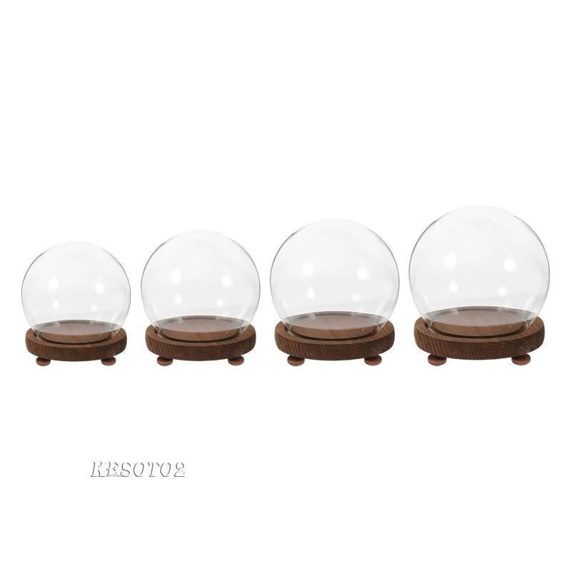 [Kesoto2] Dome Glass Display Case Terrarium Ball Shaped Stable Clear Dome สําหรับรูปถ่าย