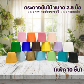 P4🌵🌵🌵 (แพ็ค 10 ใบ) กระถางต้นไม้ขนาด 2 นิ้ว กระถางพลาสติก กระ…