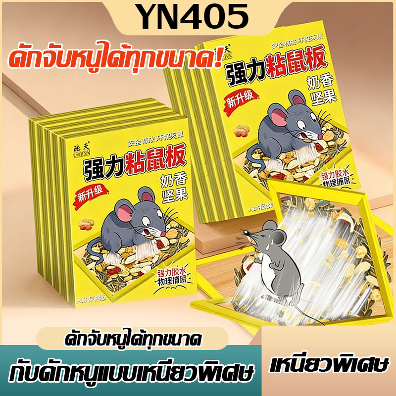 🐀แผ่นดักหนู เหนียวพิเศษ แบบติดตายแน่นอน กาวดักหนูแรงติดขั้นสุด ไร้สารพิษ ใช้ในบ้าน วางง่าย